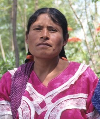 Groups-mex-Zapotec